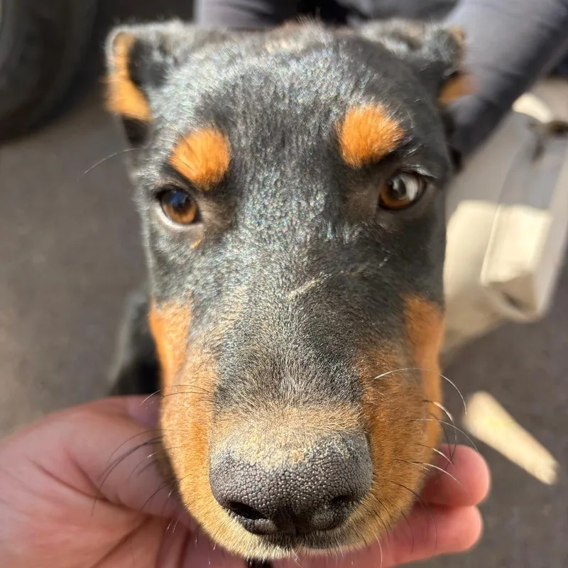 Oakley