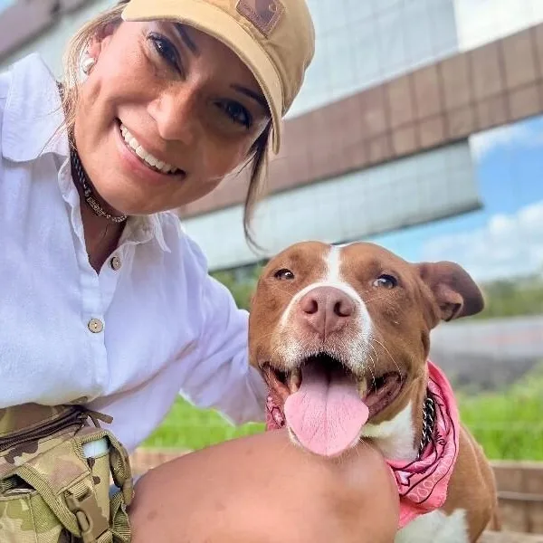 An adult large-sized female Red / Chestnut / Orange Pit Bull Terrier dog named Paisley Love Brings Connection for adoption in Friendswood, TX