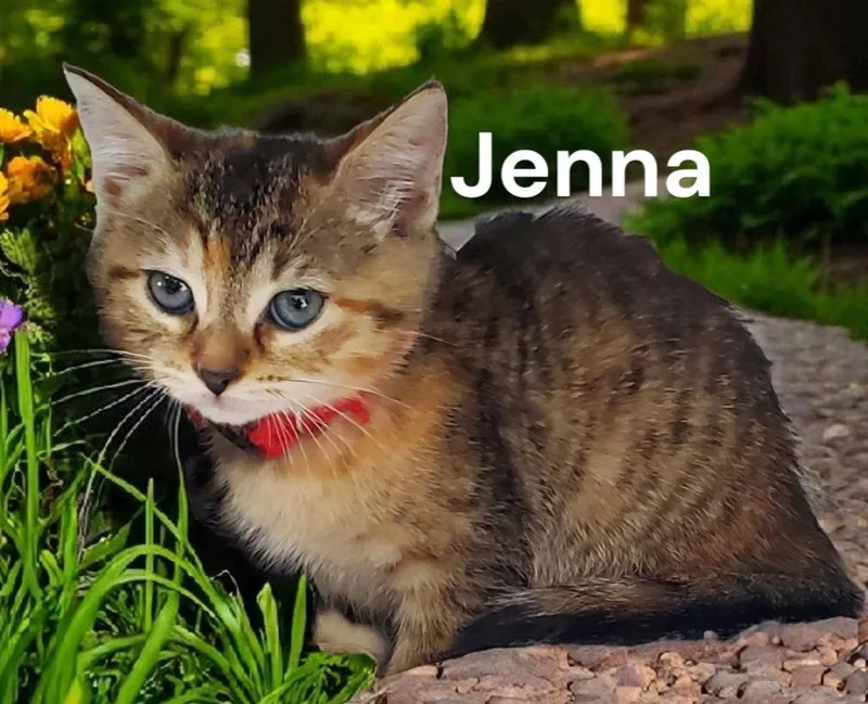 Jenna thumbnail 2