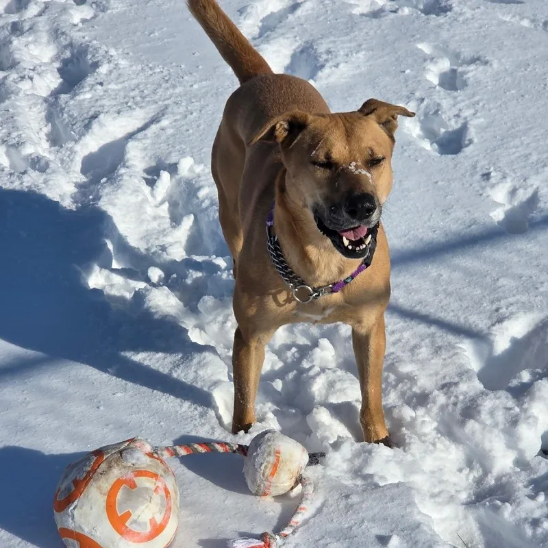 Wednesday thumbnail 2