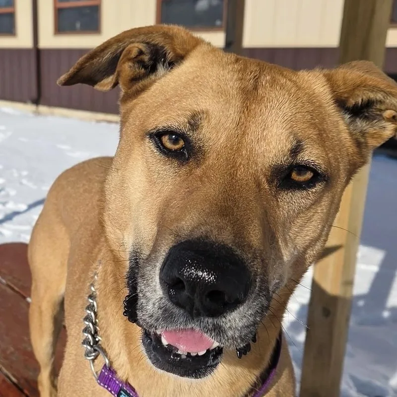 Wednesday thumbnail 3