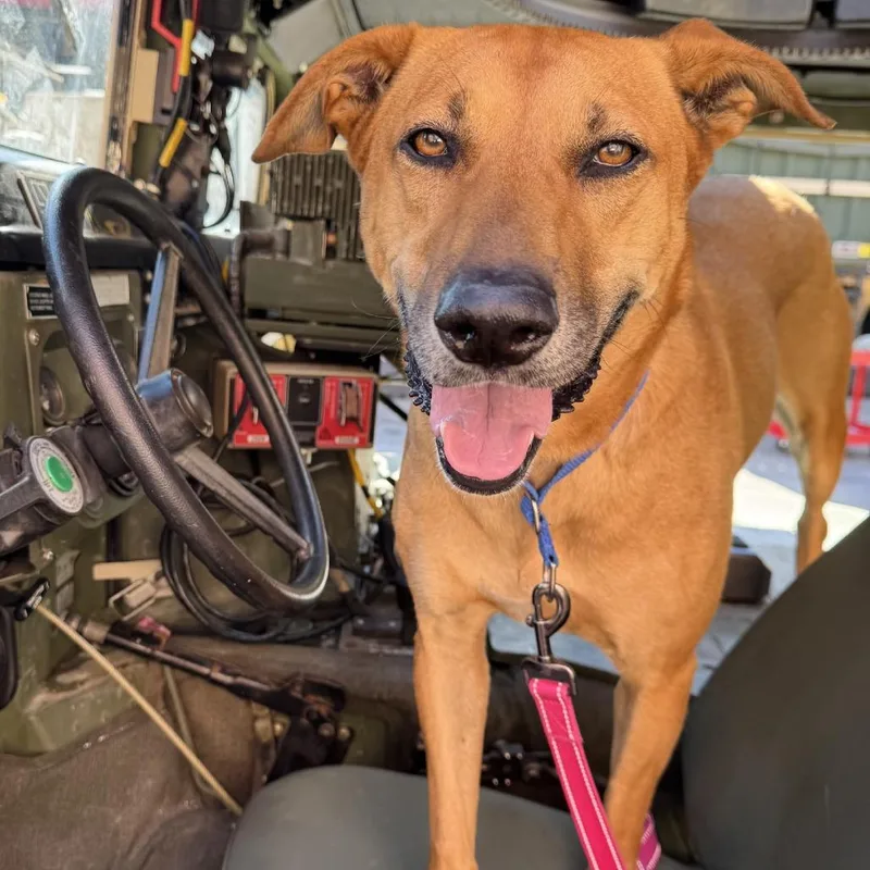 Wednesday thumbnail 4