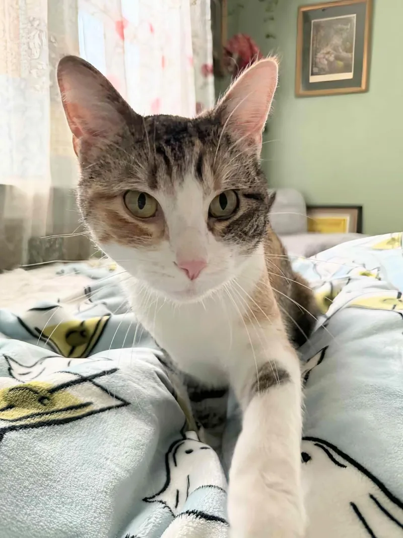 Sophie & Hunter Bonded thumbnail 2