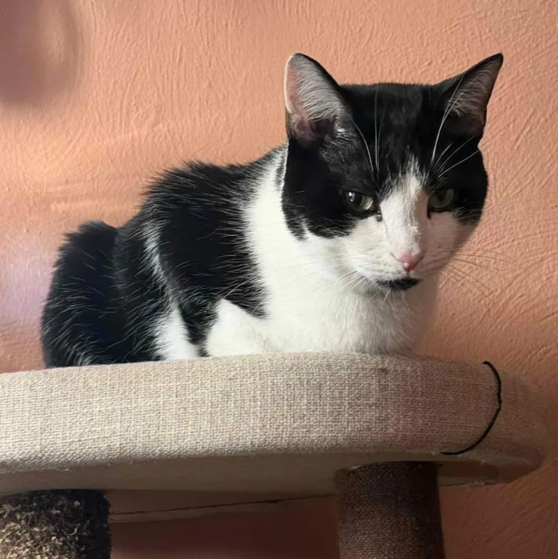 Sophie & Hunter Bonded thumbnail 3