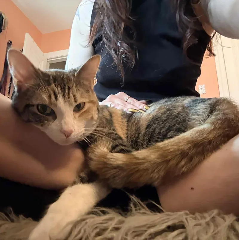 Sophie & Hunter Bonded thumbnail 4