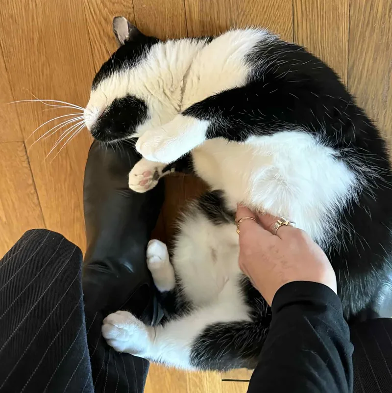 Sophie & Hunter Bonded thumbnail 6