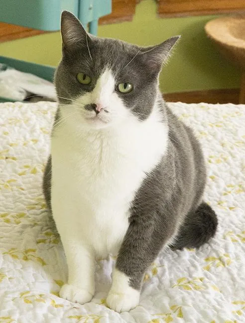 Jordan And Mia thumbnail 2