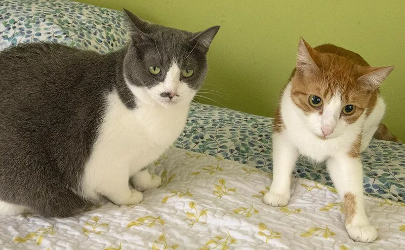 Jordan And Mia thumbnail 4