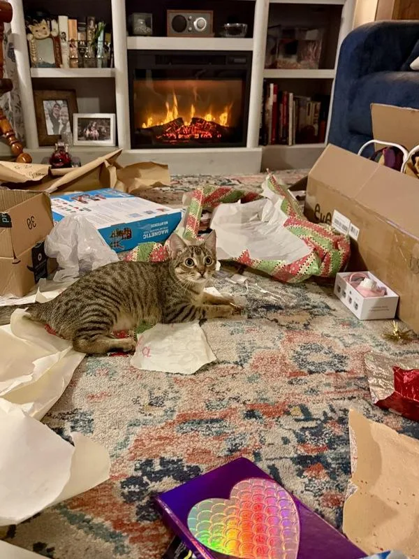 Josie Rosie thumbnail 2