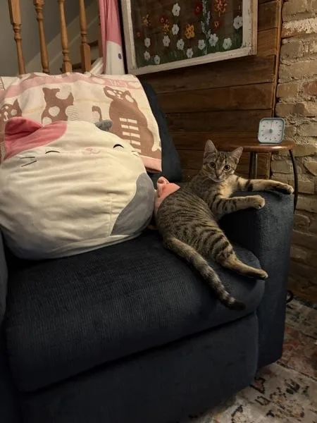 Josie Rosie thumbnail 6