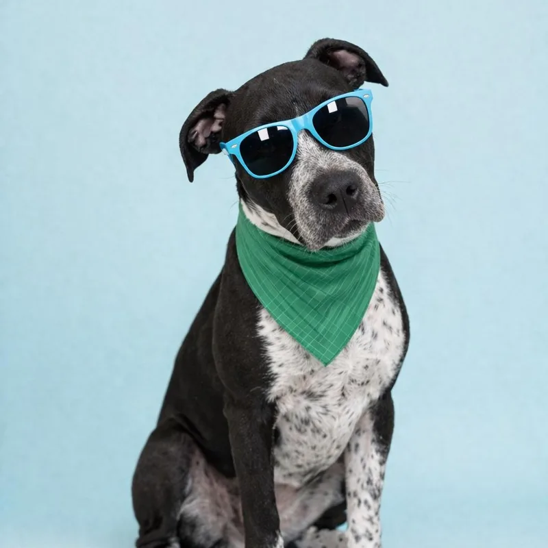 Sean Connery thumbnail 2