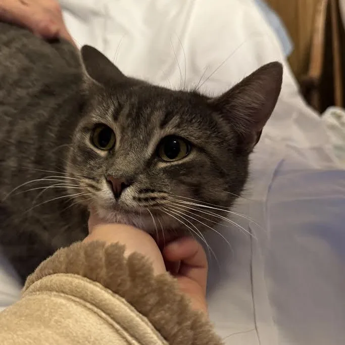 Carleigh thumbnail 2