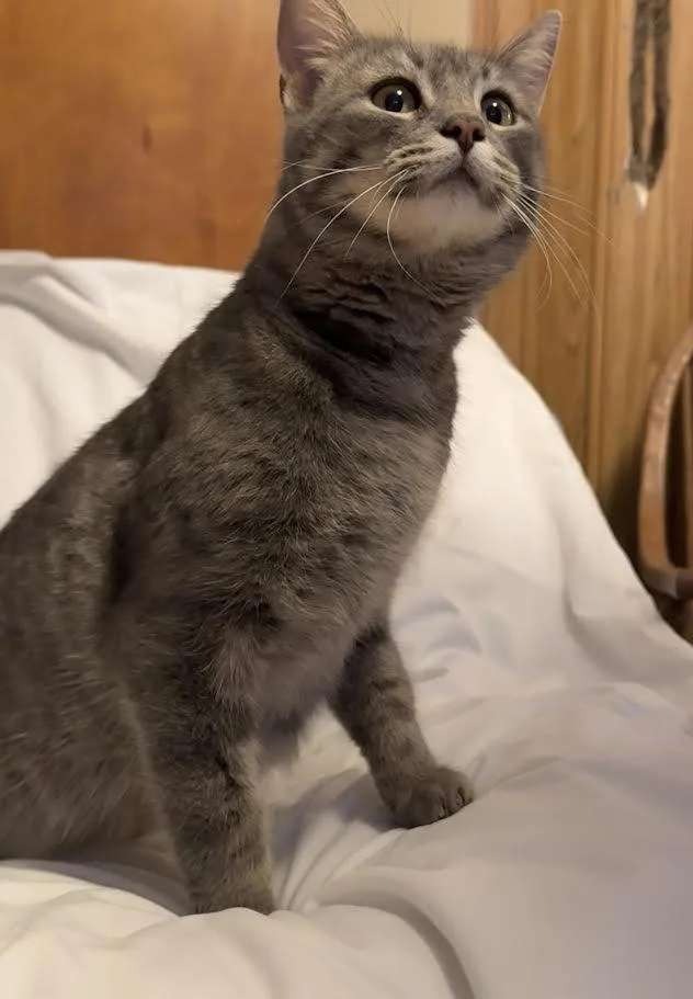 Carleigh thumbnail 3