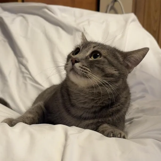 Carleigh thumbnail 4