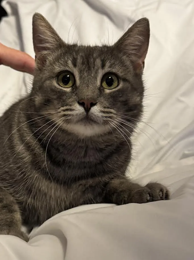 Carleigh thumbnail 5