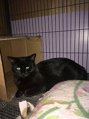 Nicky Bonded With Max thumbnail 2