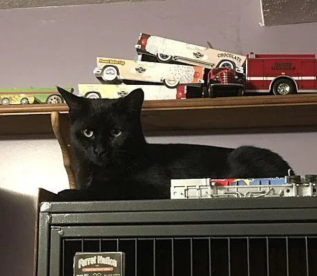 Nicky Bonded With Max thumbnail 3