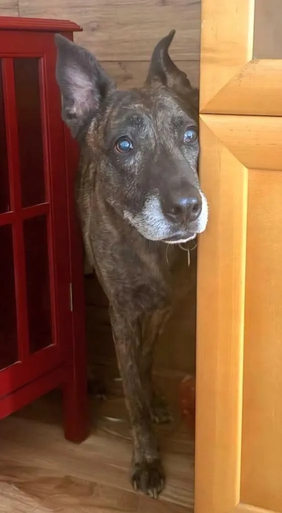 Princess Nal thumbnail 2