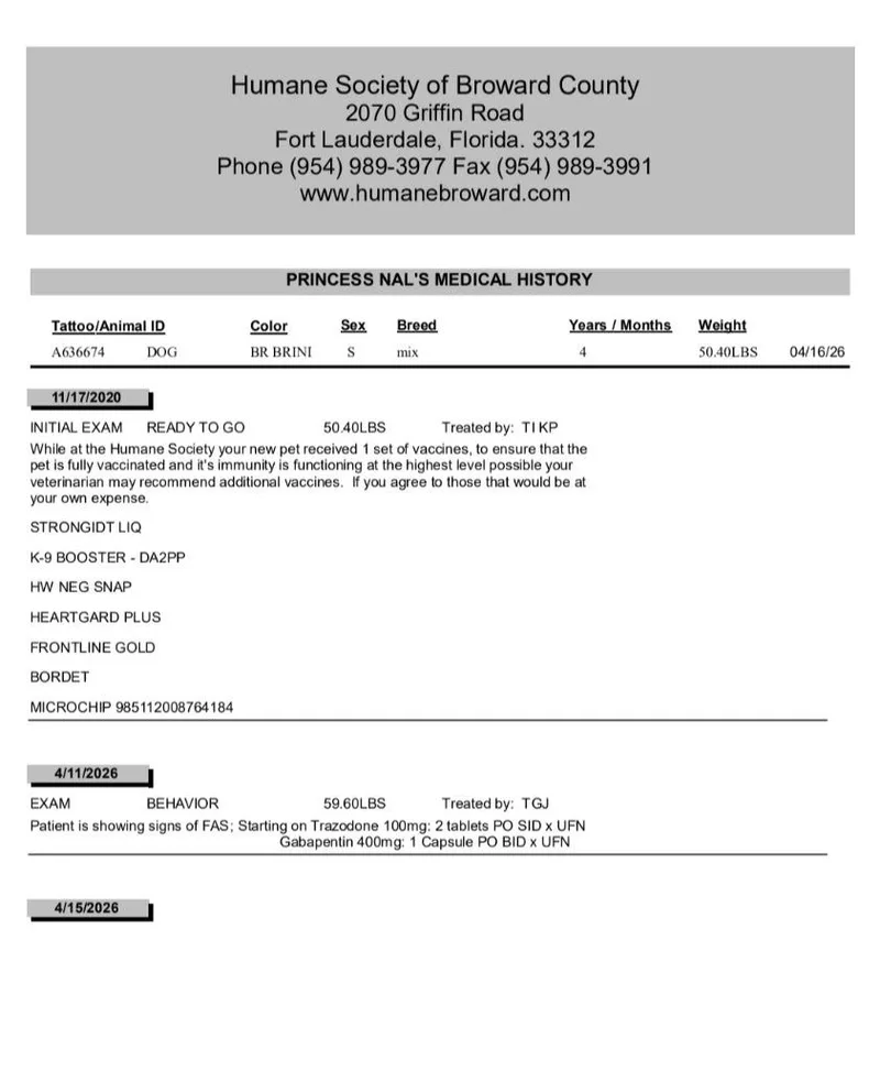 Princess Nal thumbnail 4