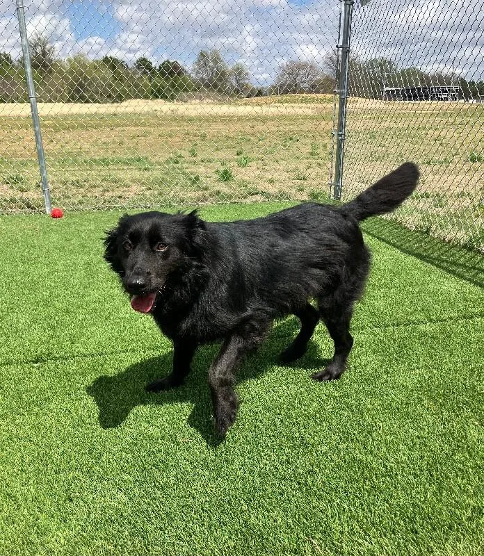 Kylo Ren thumbnail 2