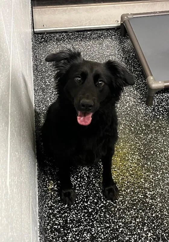 Kylo Ren thumbnail 3