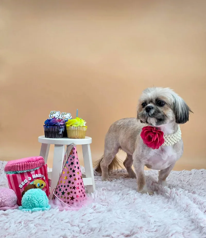 Sprinkles thumbnail 2