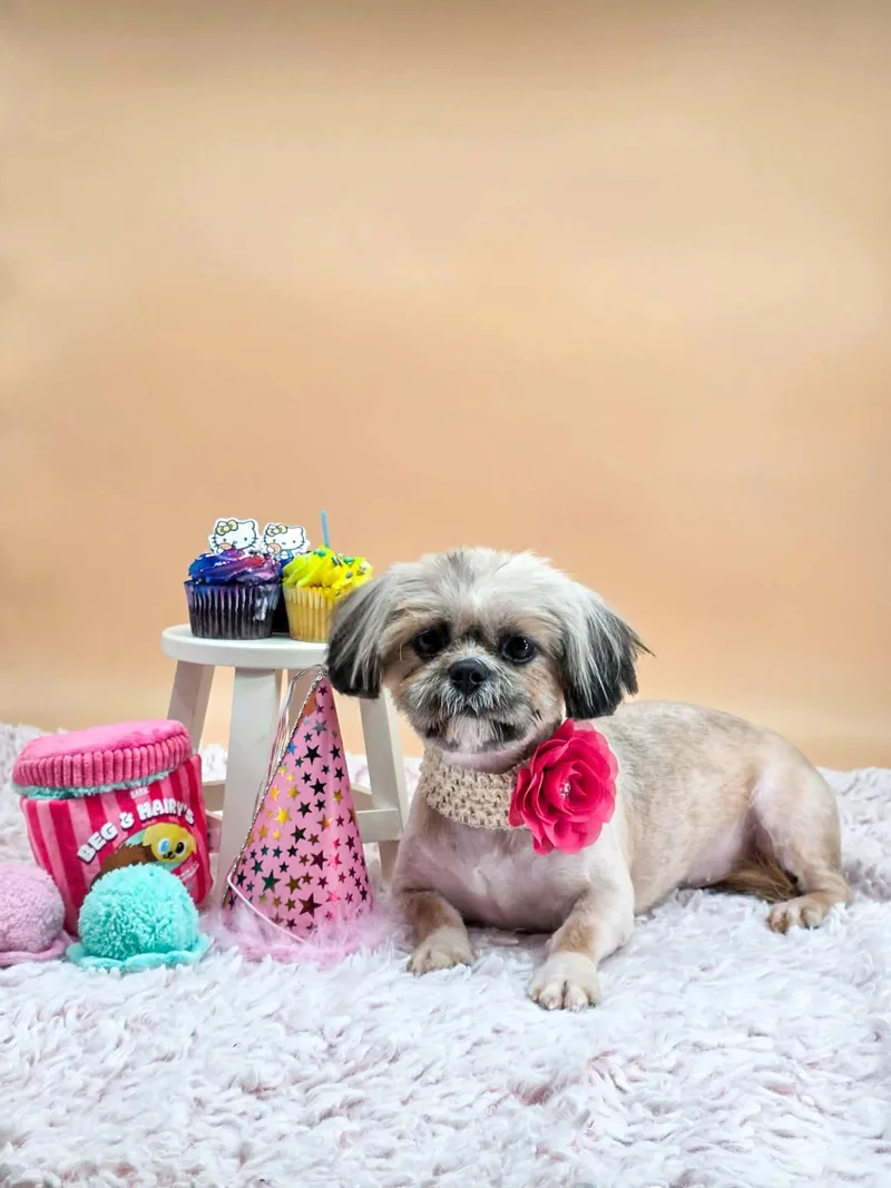 Sprinkles thumbnail 4