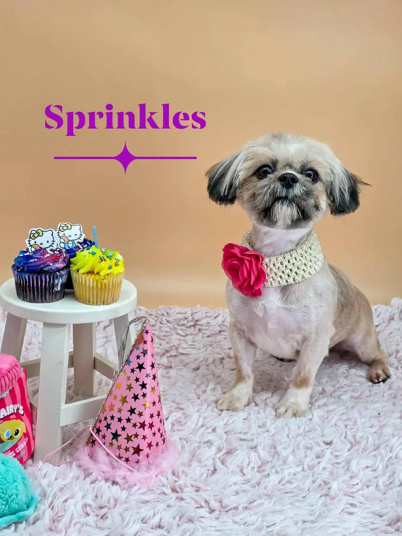 Sprinkles