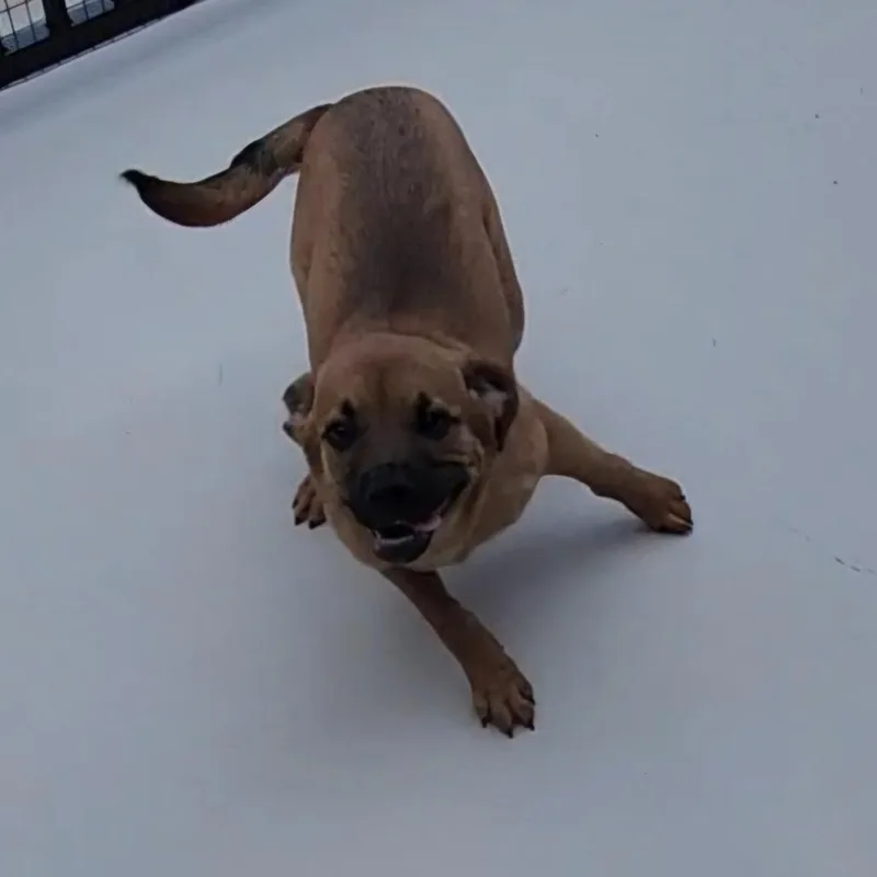 Tanner thumbnail 2