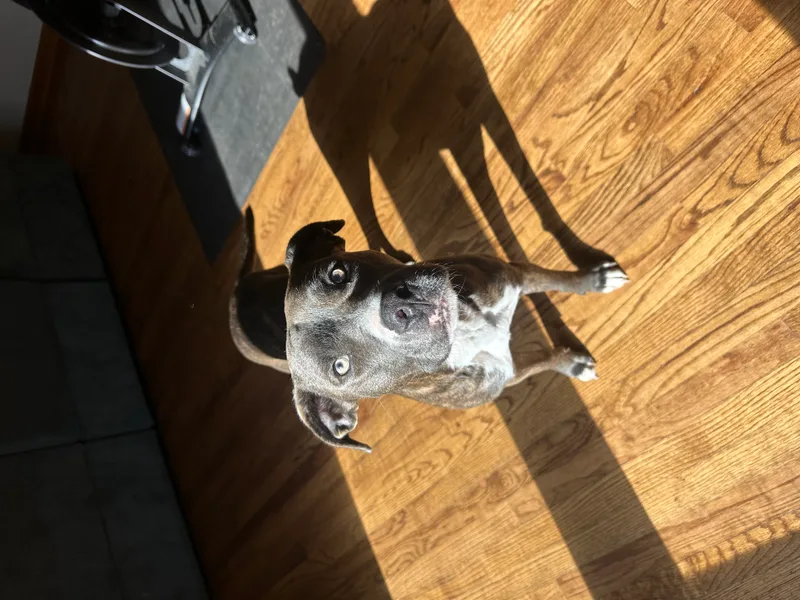 Cornelius thumbnail 5