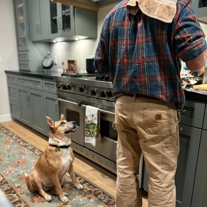 Lindy  Local thumbnail 4