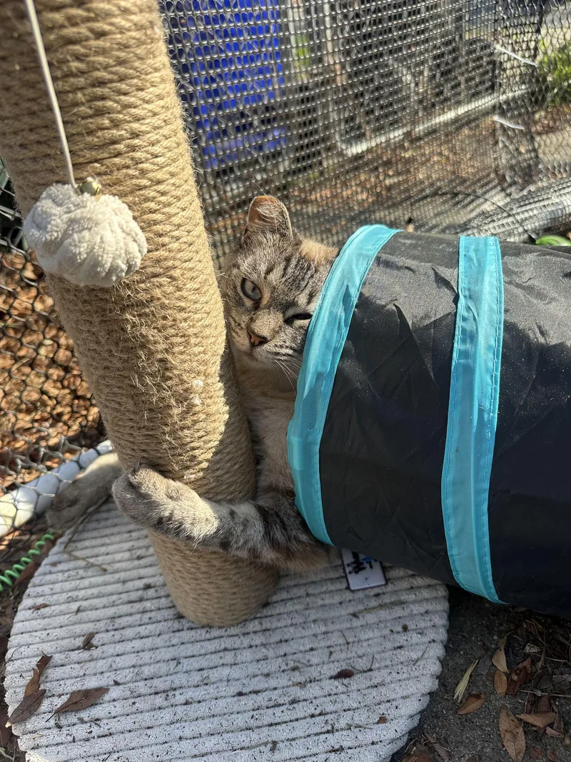 Lilly Bean thumbnail 2