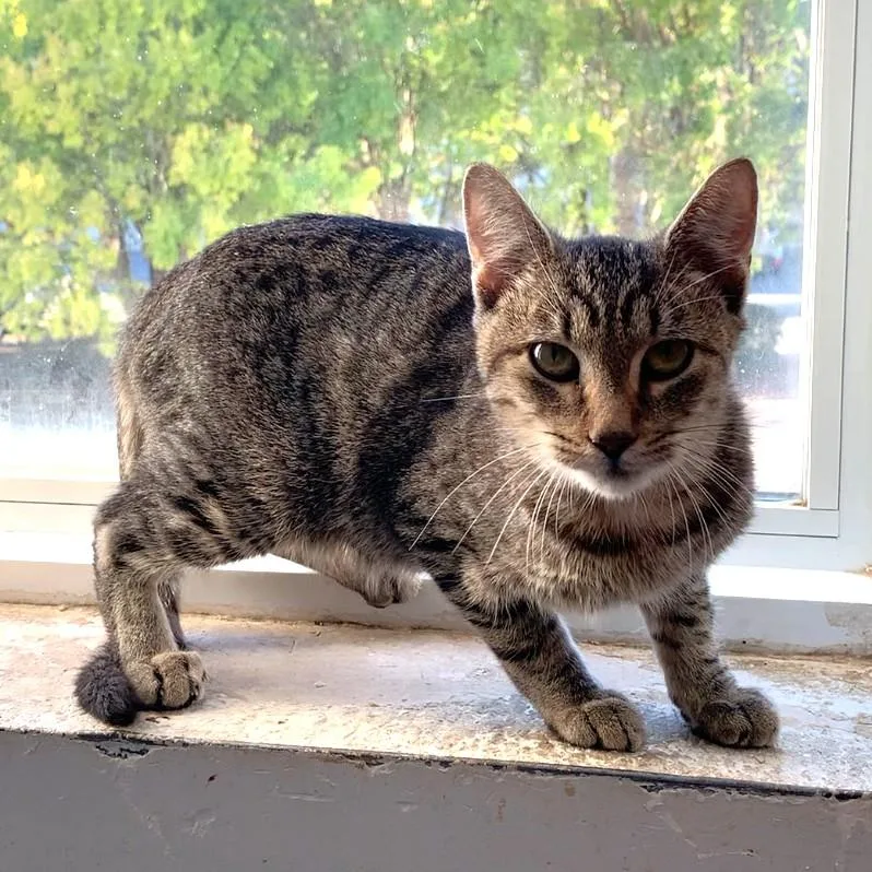 Maurice @ Fat Cat thumbnail 2