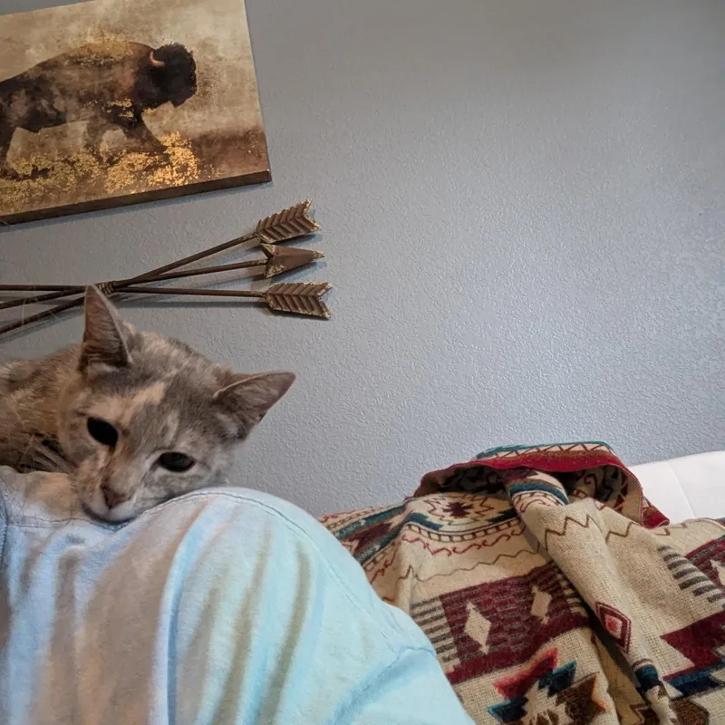 Hazel thumbnail 5