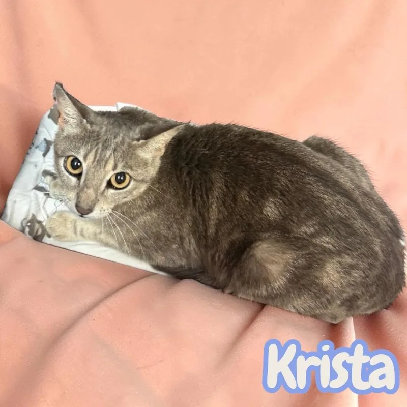 Krista