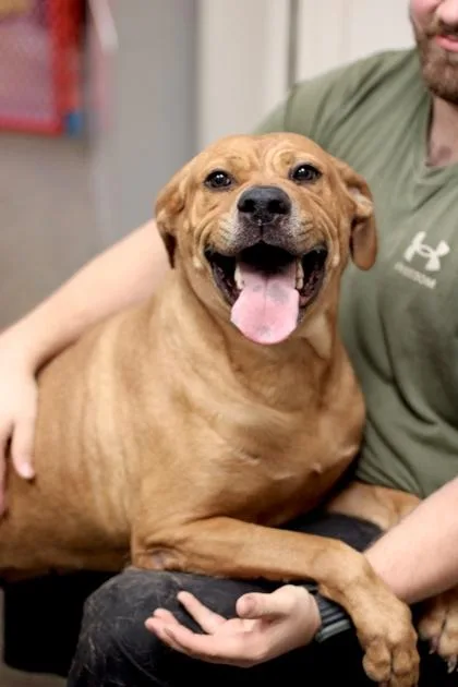 Hattie Sue thumbnail 2