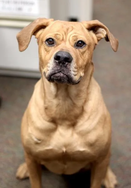 Hattie Sue thumbnail 3