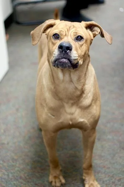 Hattie Sue thumbnail 6