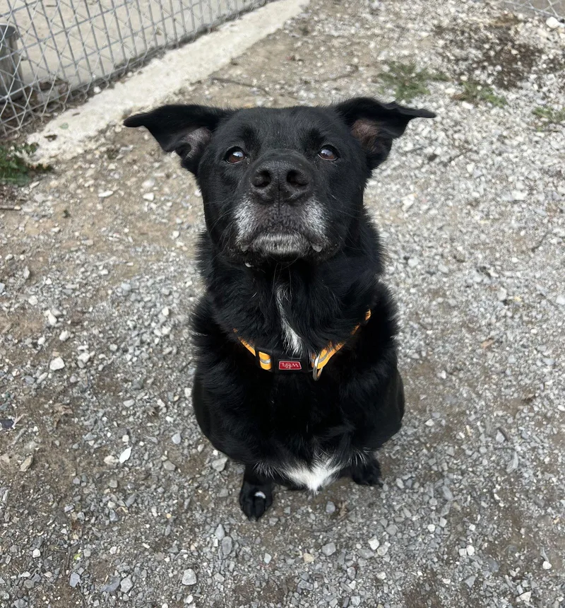 Thomas Jeffrey thumbnail 3