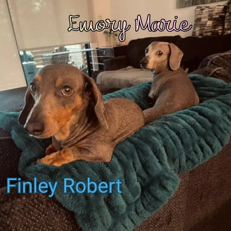 Finley Robert+ thumbnail 3