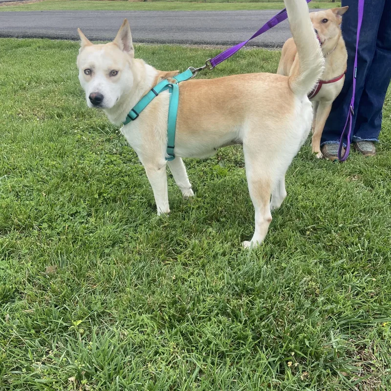 Destiny Momma Dolittle thumbnail 2