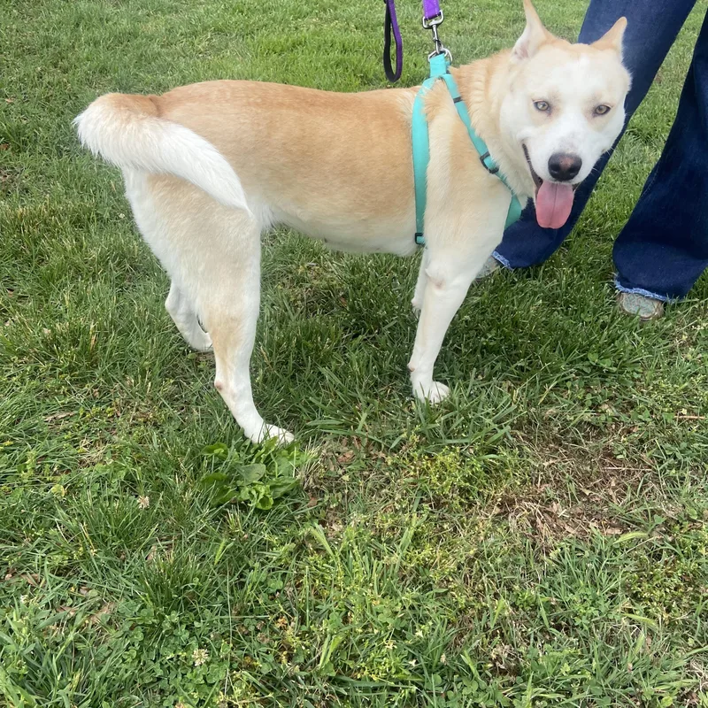 Destiny Momma Dolittle thumbnail 3