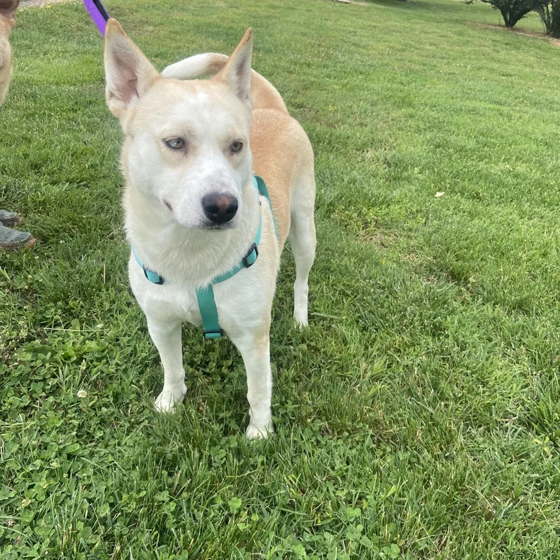 Destiny Momma Dolittle thumbnail 4