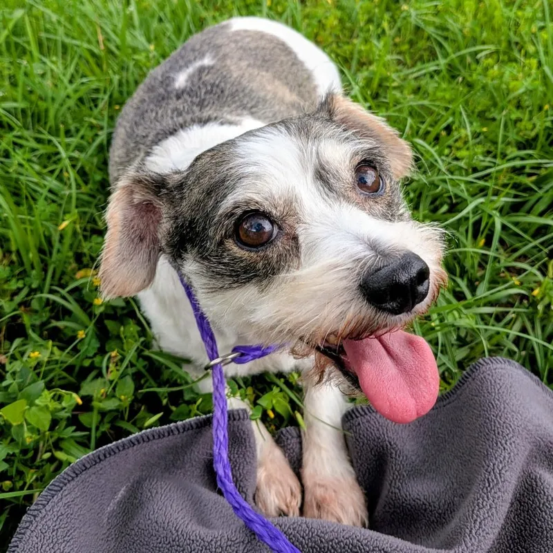 Roxy Grace thumbnail 2