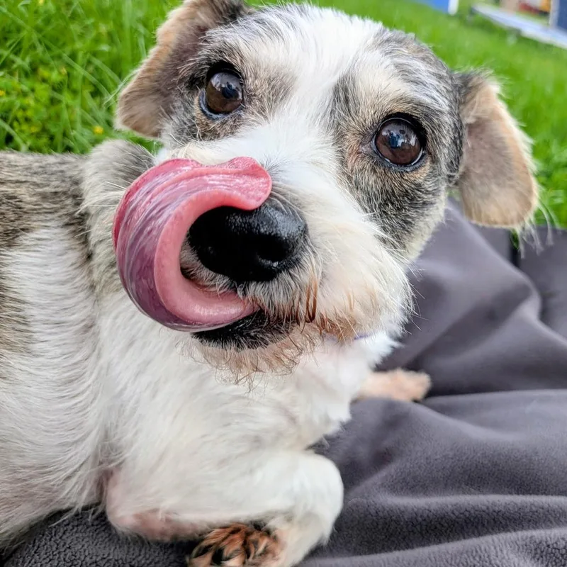 Roxy Grace thumbnail 3