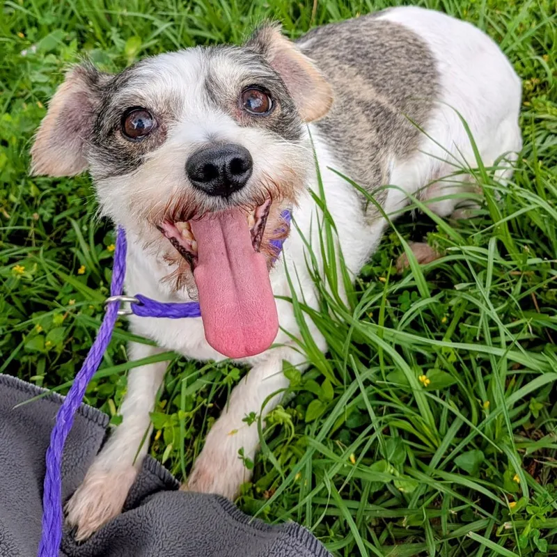 Roxy Grace thumbnail 5