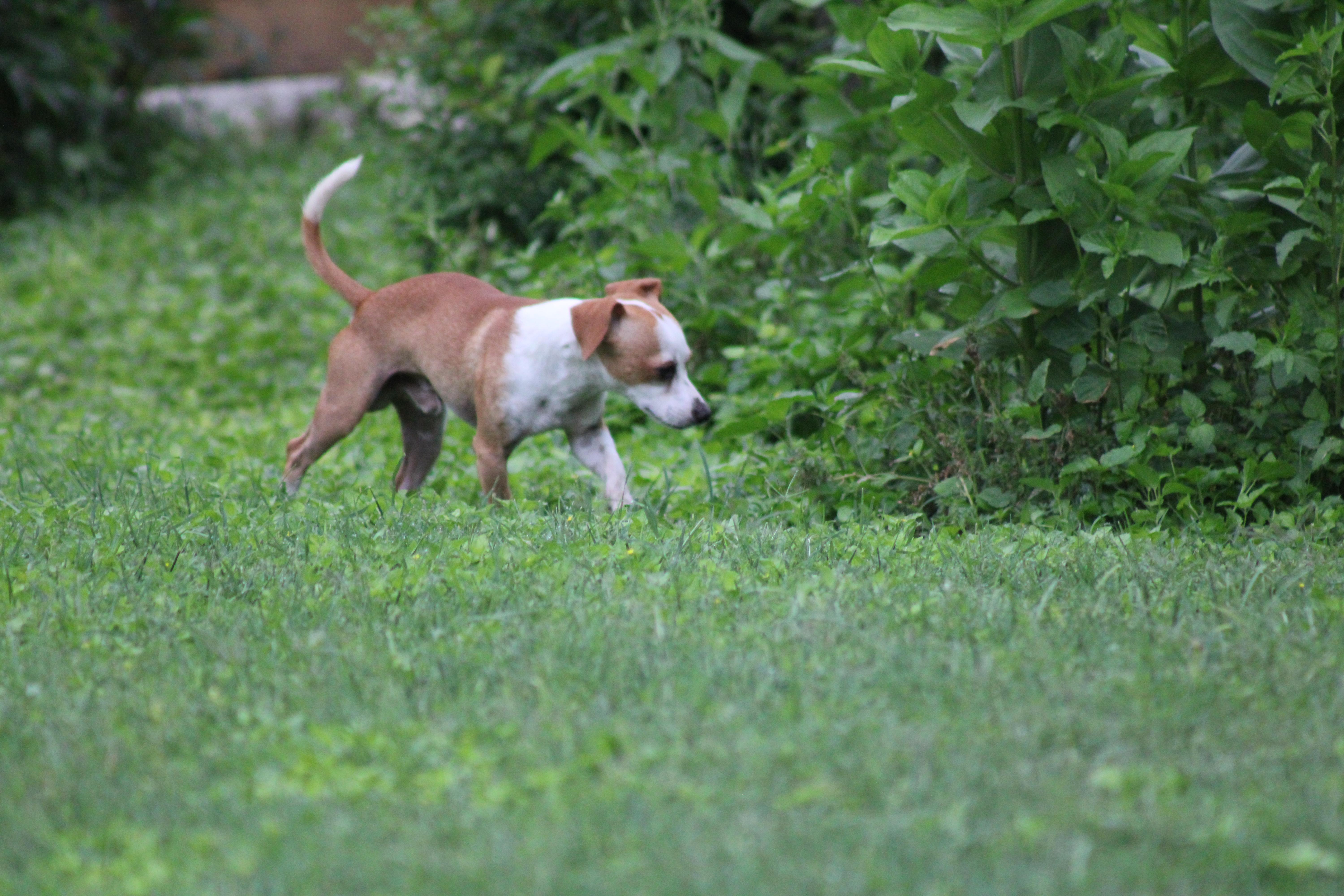Tatum thumbnail 3