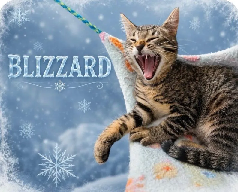 Blizzard thumbnail 2