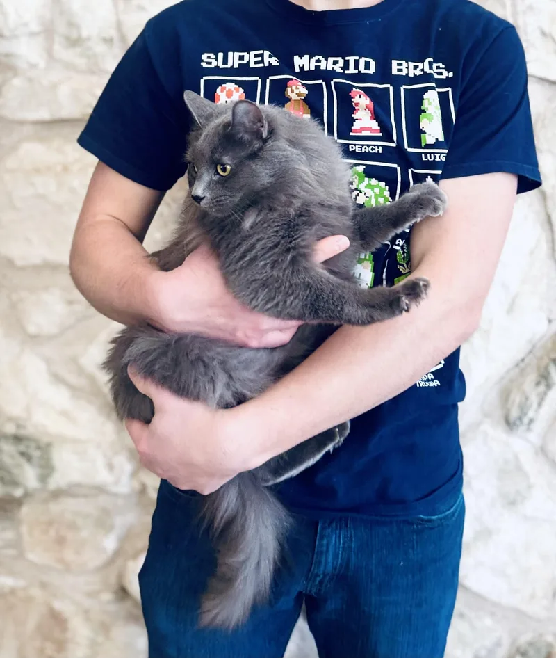 Mouse thumbnail 6