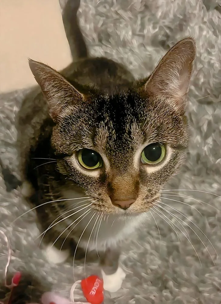 Daybreak thumbnail 2